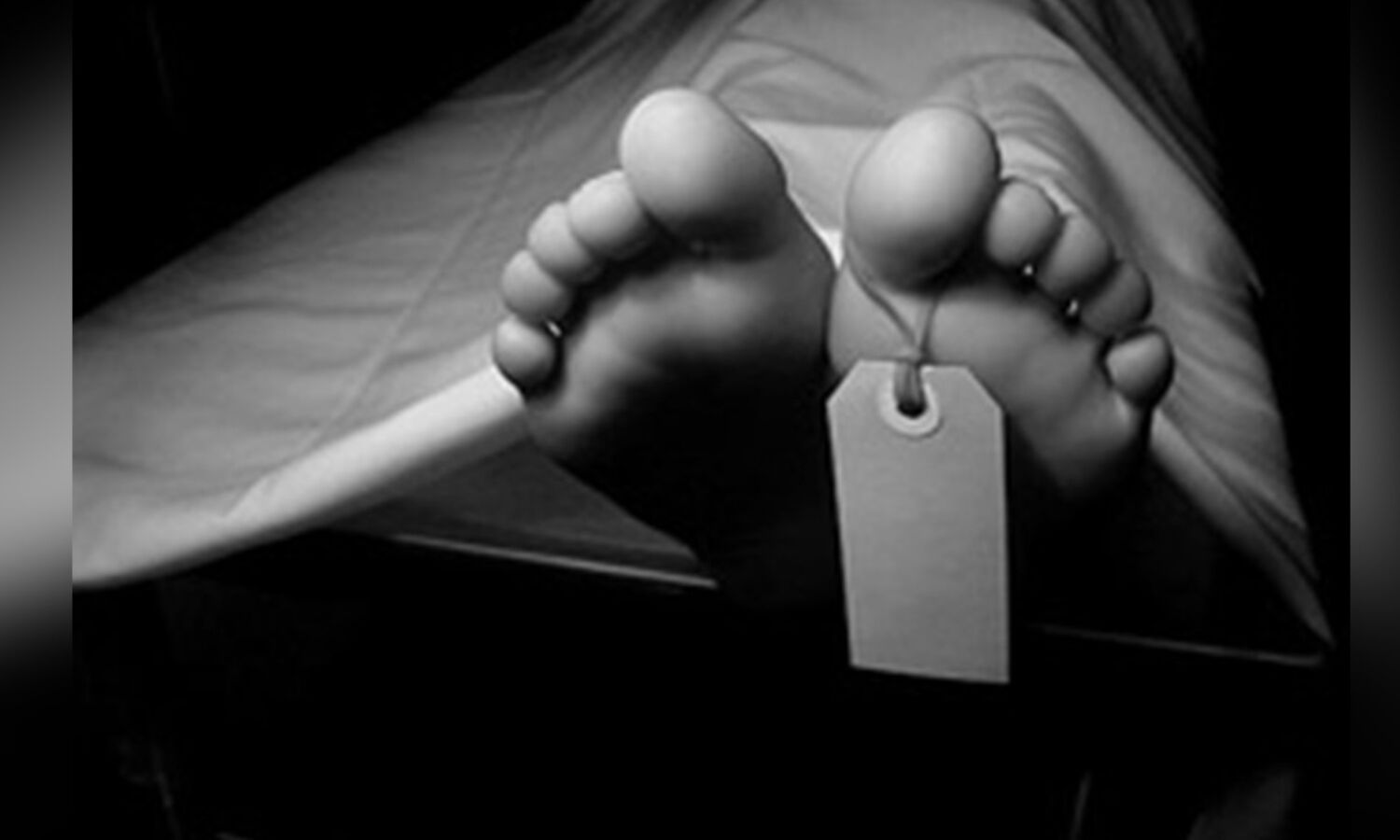 Woman murdered by live-in partner in Karapakkam, probe on